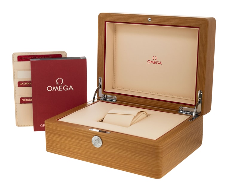 Omega Aqua Terra 150m Gents 220.13.41.21.10.001 Image 5